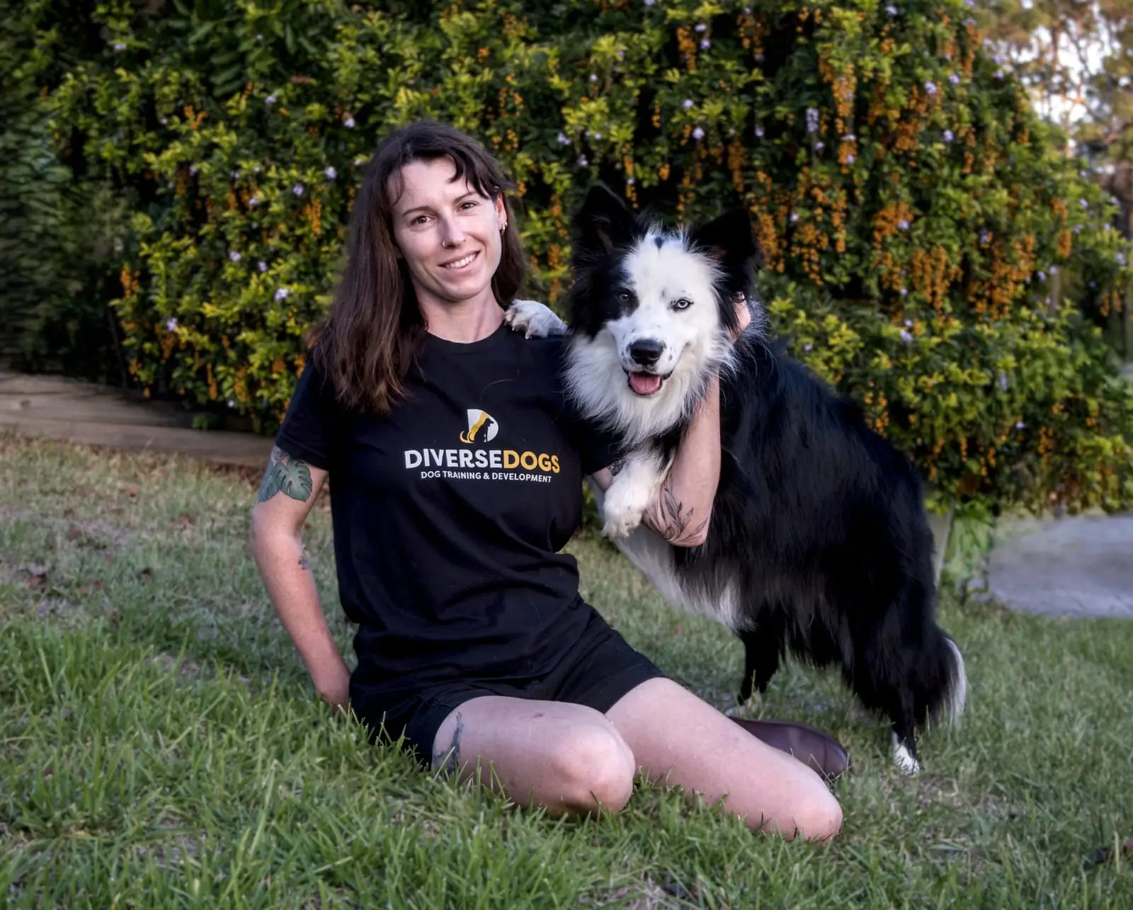 Abi from Diverse Dogs with her border collie